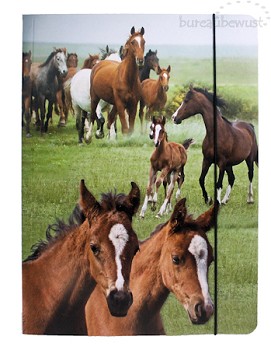 elastomap A4 Paarden